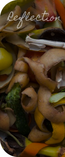 foodloss picture